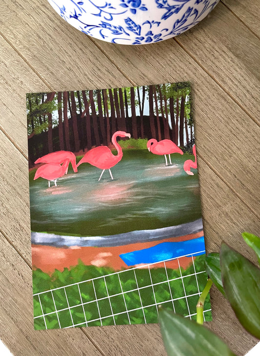 Flamingos in the Zoo