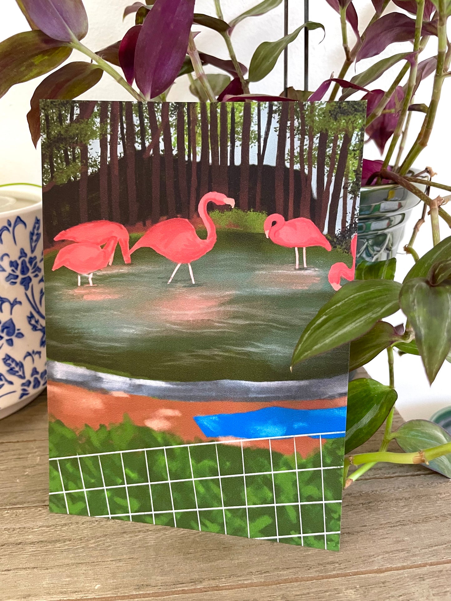 Flamingos in the Zoo